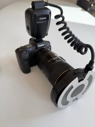 Miniatyrbilde 2